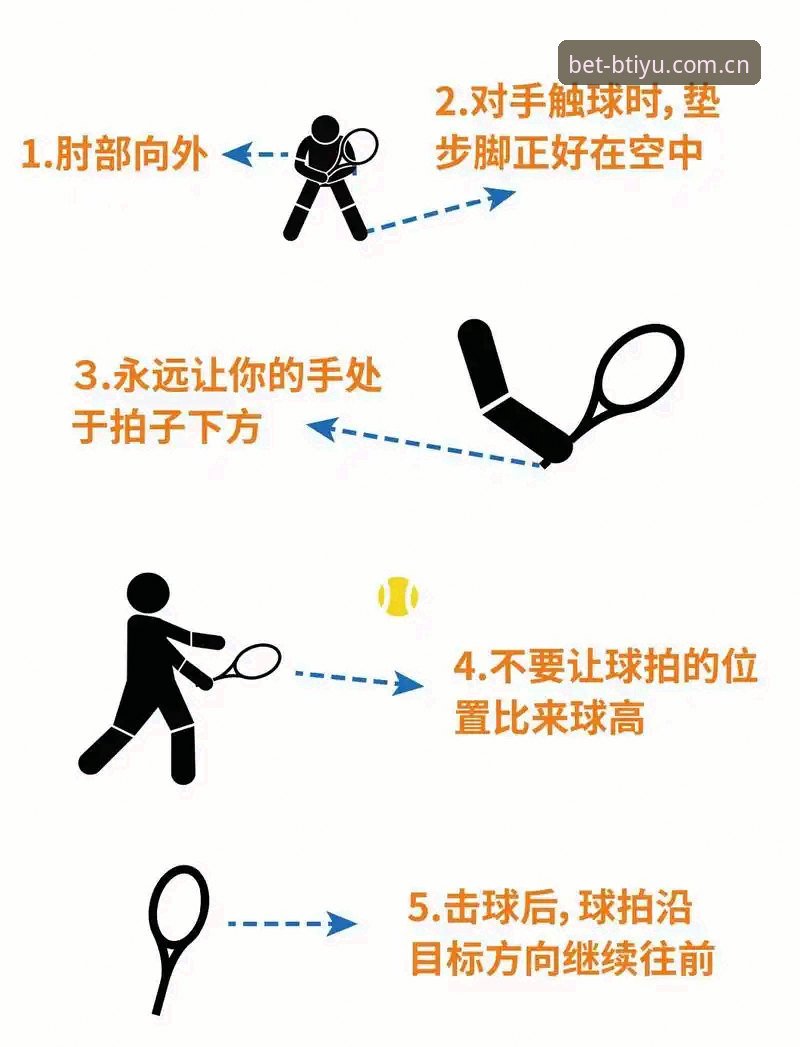 掌握b体育官方渠道评测的实用技巧，轻松选择最佳体育平台