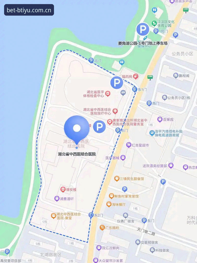 b体育平台使用完整指南：从下载到竞猜的全流程解析